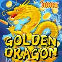 Gaming Software Provider 6